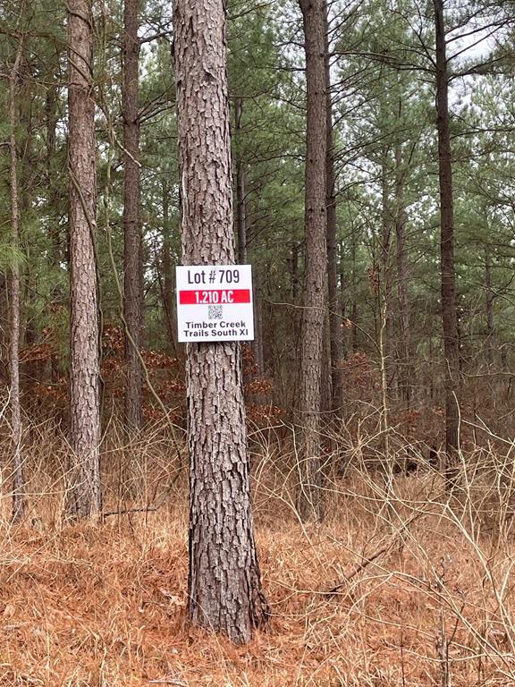 709 Timber Creek Trails South XI