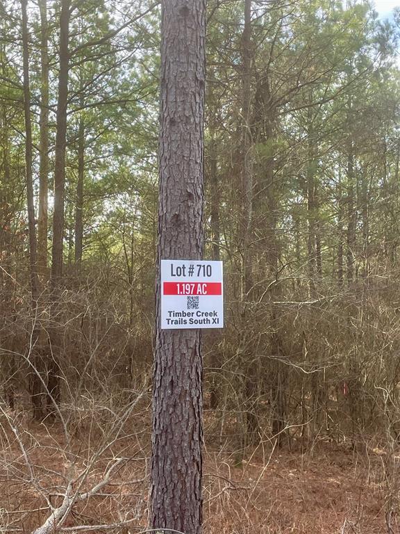 710 Timber Creek Trails South XI