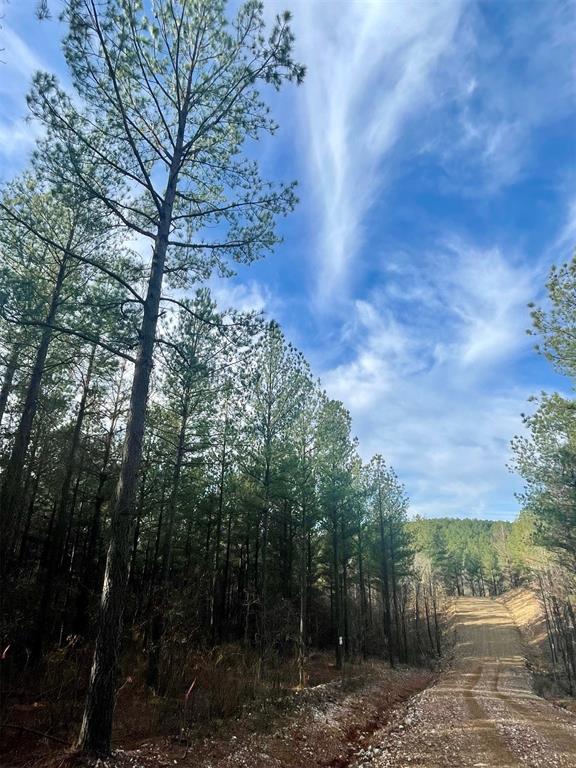 710 Timber Creek Trails South XI