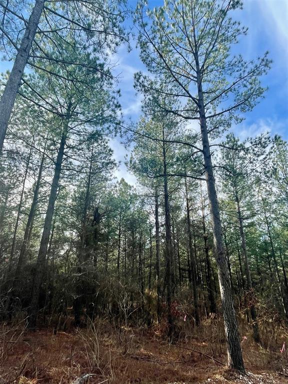 710 Timber Creek Trails South XI