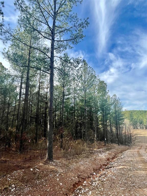 710 Timber Creek Trails South XI