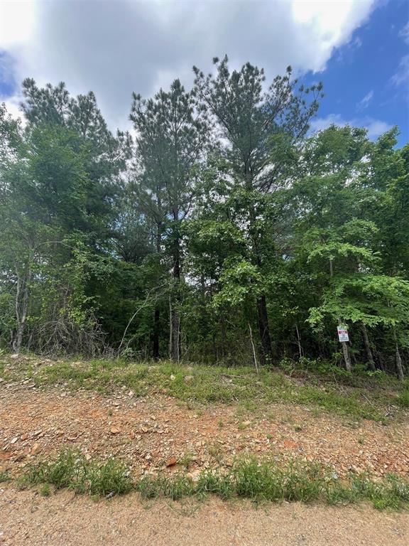 711 Timber Creek Trails South XI