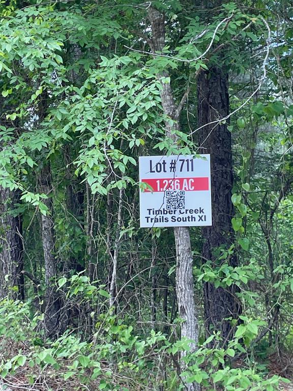 711 Timber Creek Trails South XI