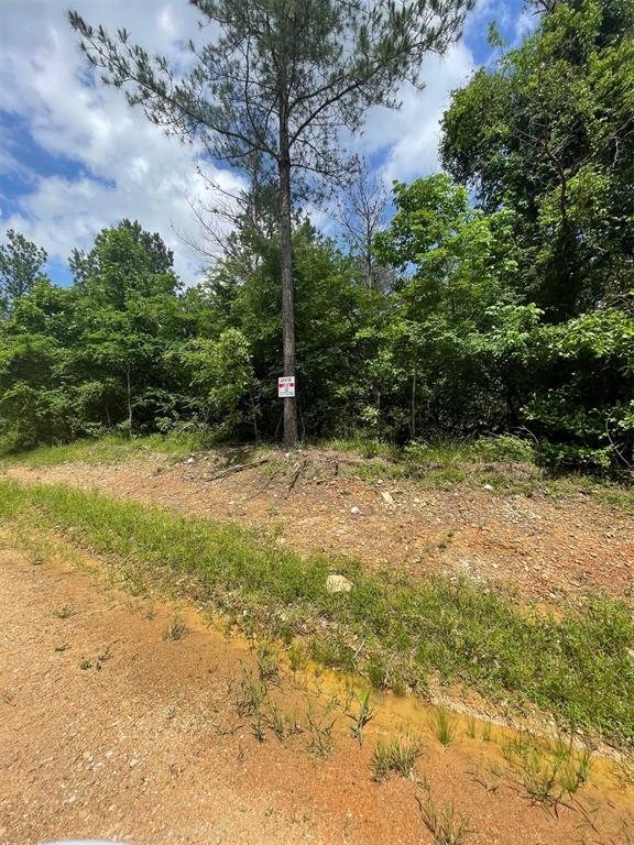 712 Timber Creek Trails South XI