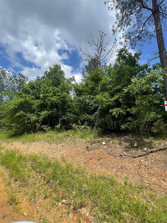712 Timber Creek Trails South XI