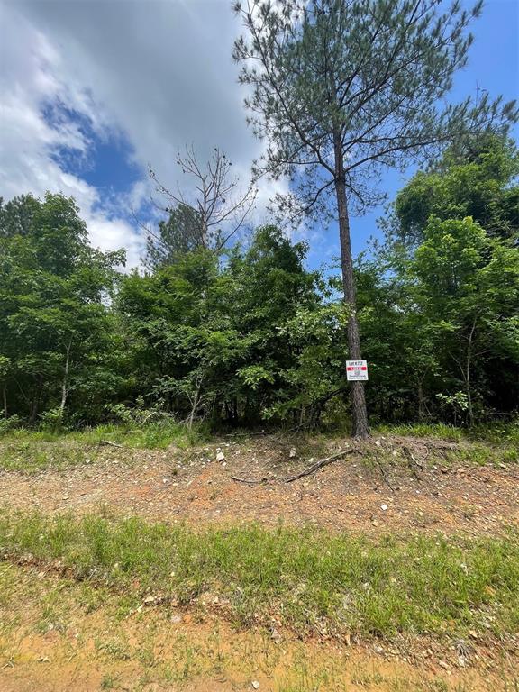 712 Timber Creek Trails South XI