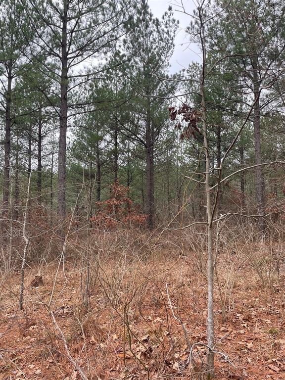 713 Timber Creek Trails South XI
