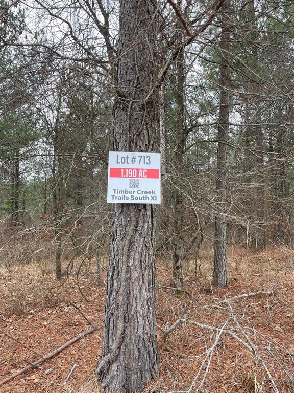 713 Timber Creek Trails South XI