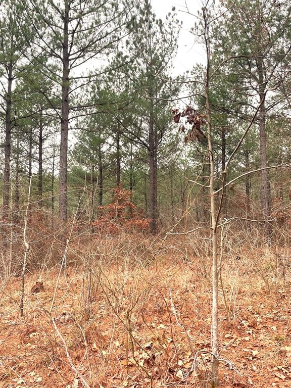 713 Timber Creek Trails South XI