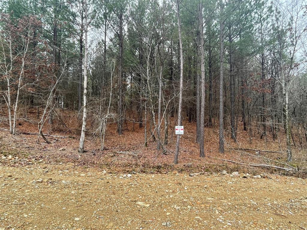714 Timber Creek Trails South XI