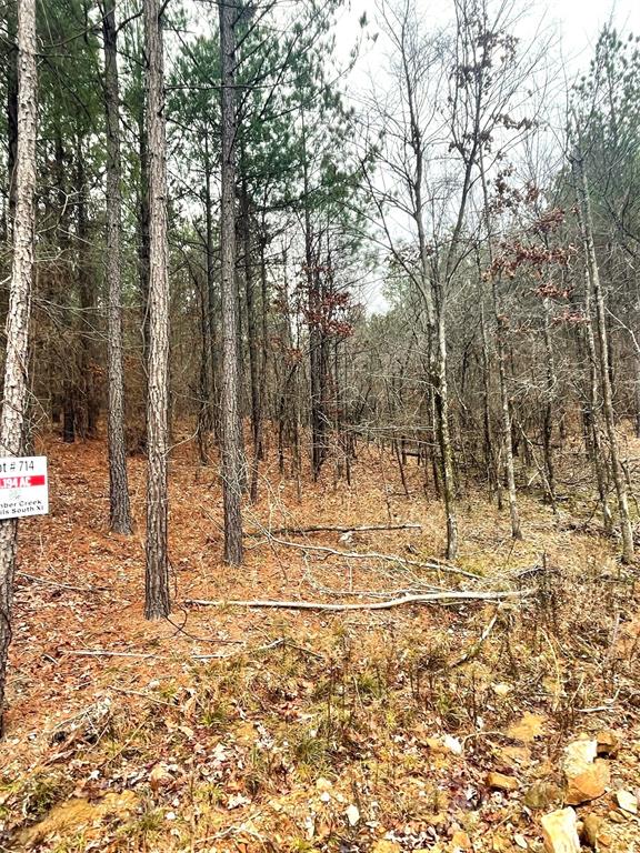 714 Timber Creek Trails South XI