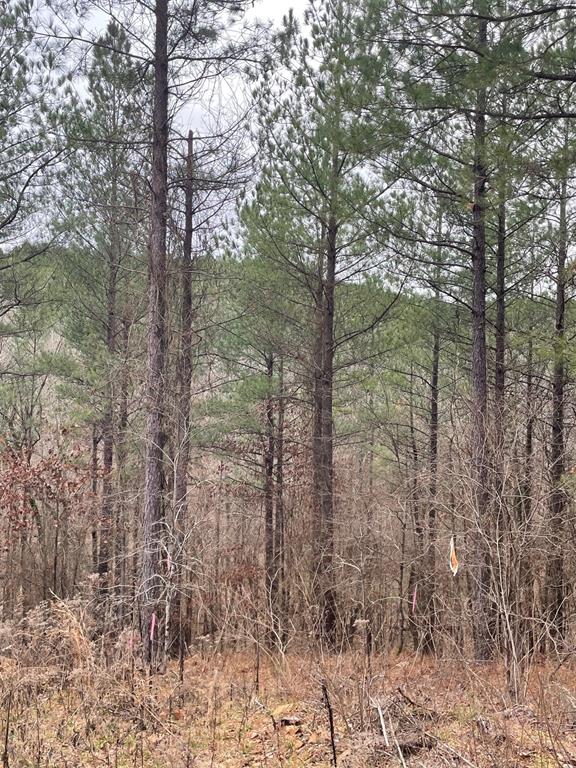 715 Timber Creek Trails South XI