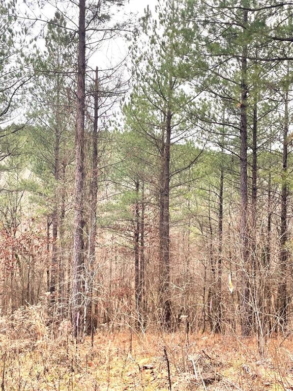 715 Timber Creek Trails South XI