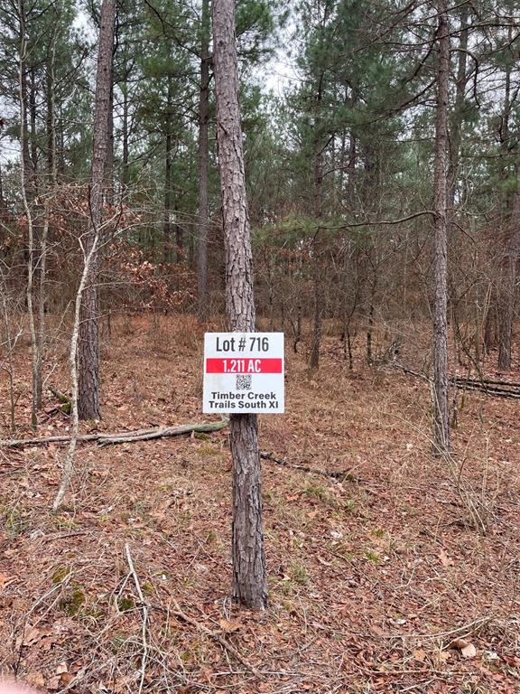 716 Timber Creek Trails South XI