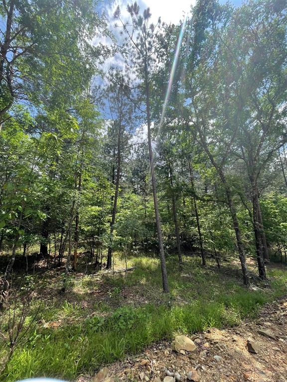 716 Timber Creek Trails South XI