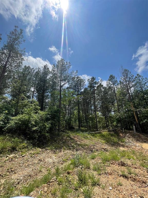 716 Timber Creek Trails South XI