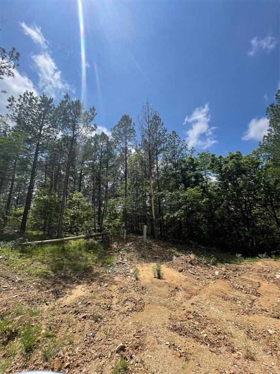 716 Timber Creek Trails South XI