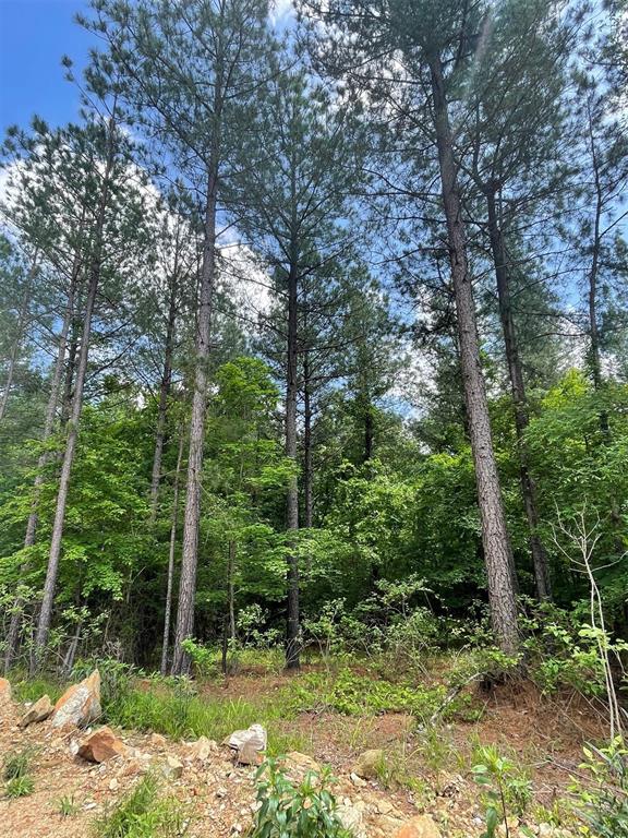 716 Timber Creek Trails South XI