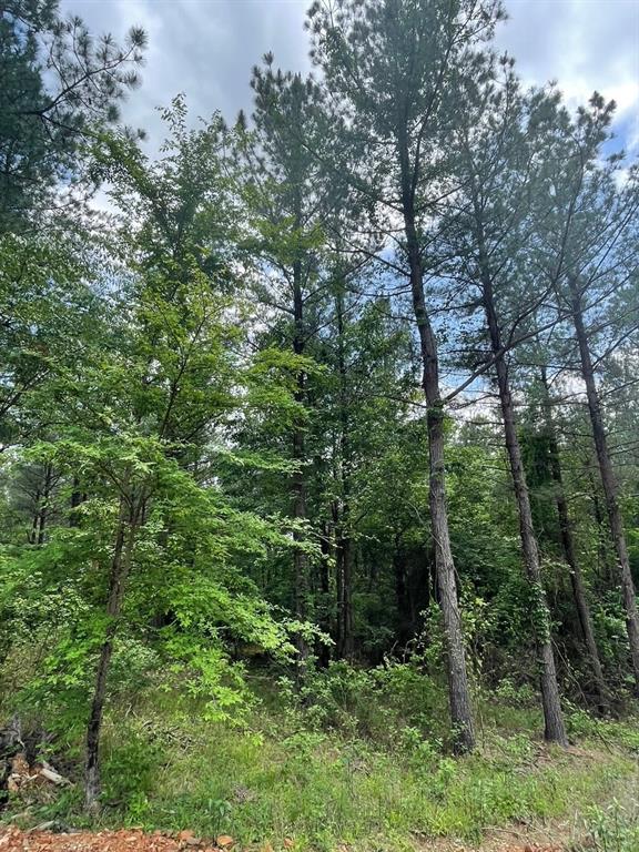 717 Timber Creek Trails South XI