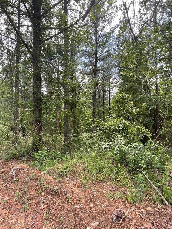 717 Timber Creek Trails South XI