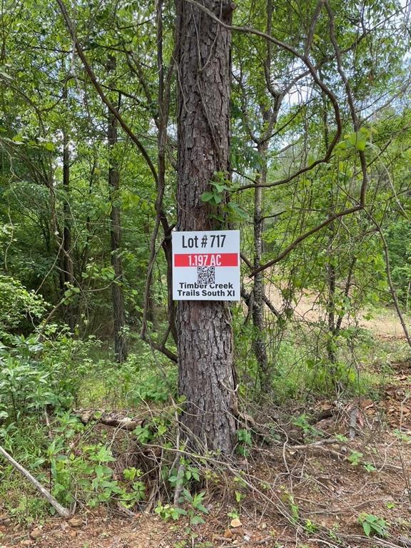 717 Timber Creek Trails South XI