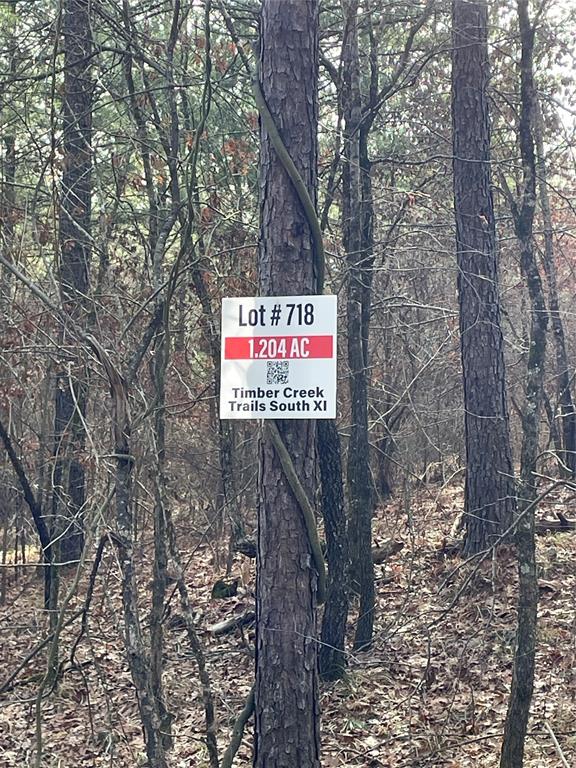 718 Timber Creek Trails South XI