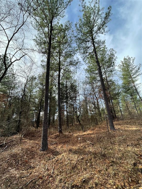 718 Timber Creek Trails South XI
