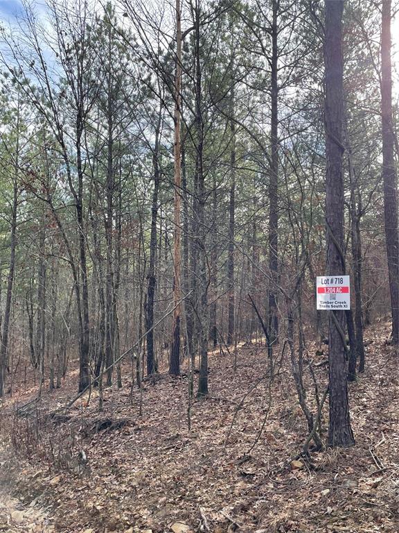 718 Timber Creek Trails South XI
