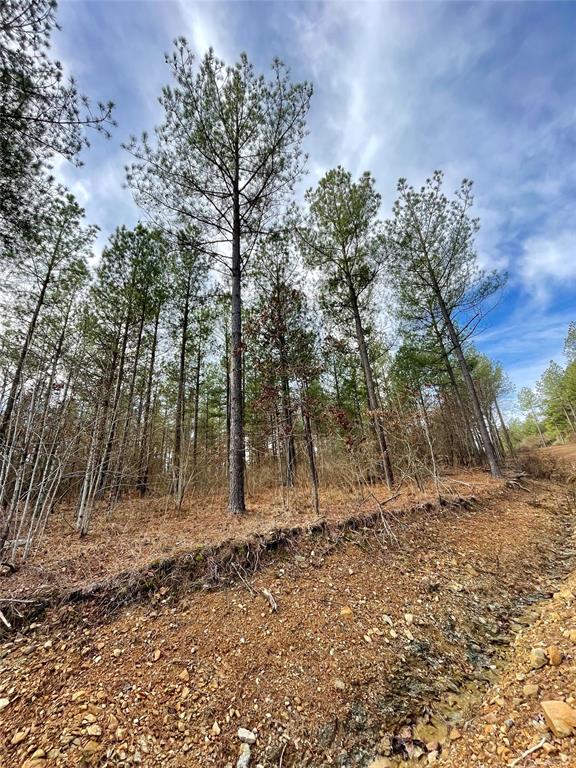 719 Timber Creek Trails South XI