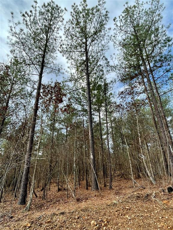 720 Timber Creek Trails South XI