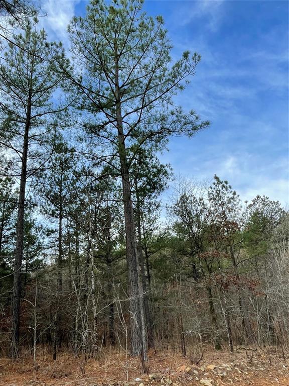 721 Timber Creek Trails South XI