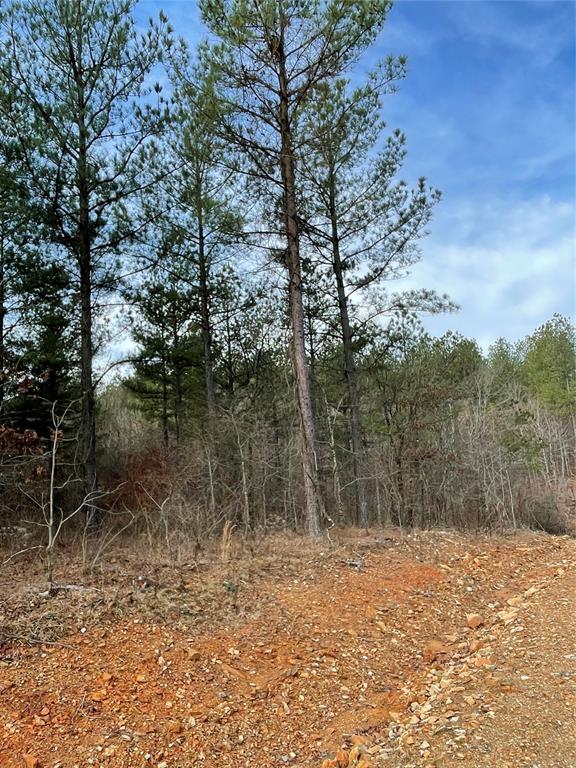 721 Timber Creek Trails South XI