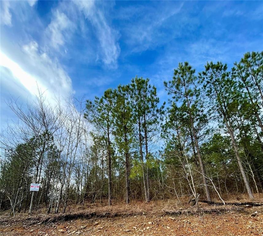722 Timber Creek Trails South XI