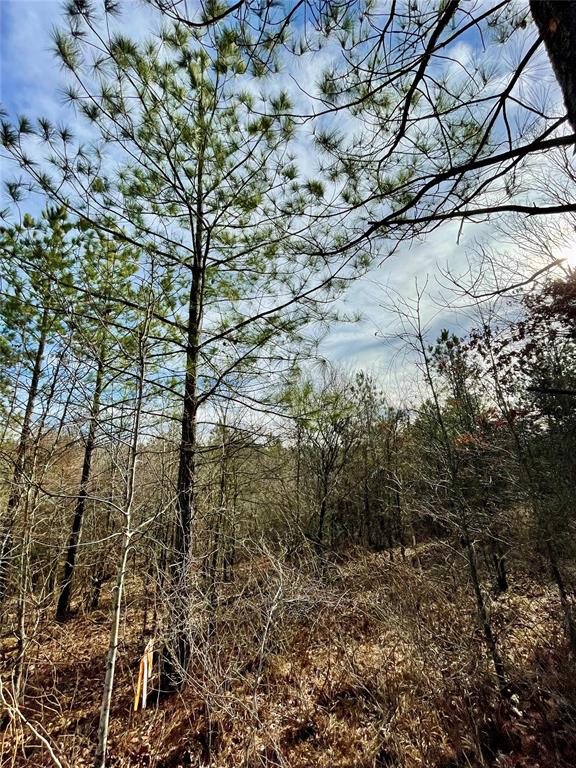 723 Timber Creek Trails South XI
