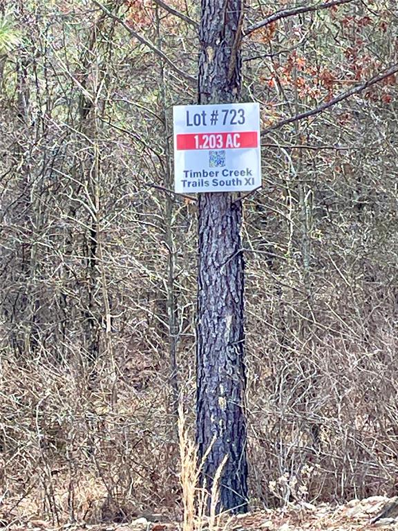 723 Timber Creek Trails South XI