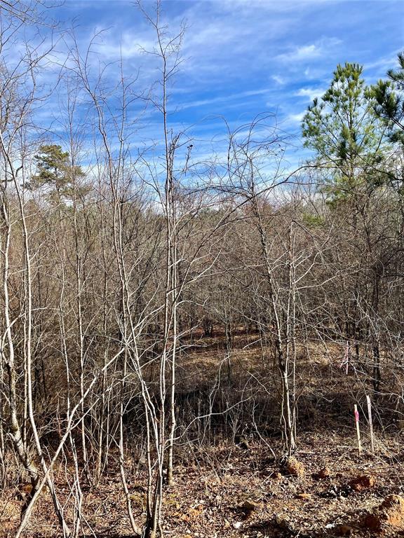 724 Timber Creek Trails South XI