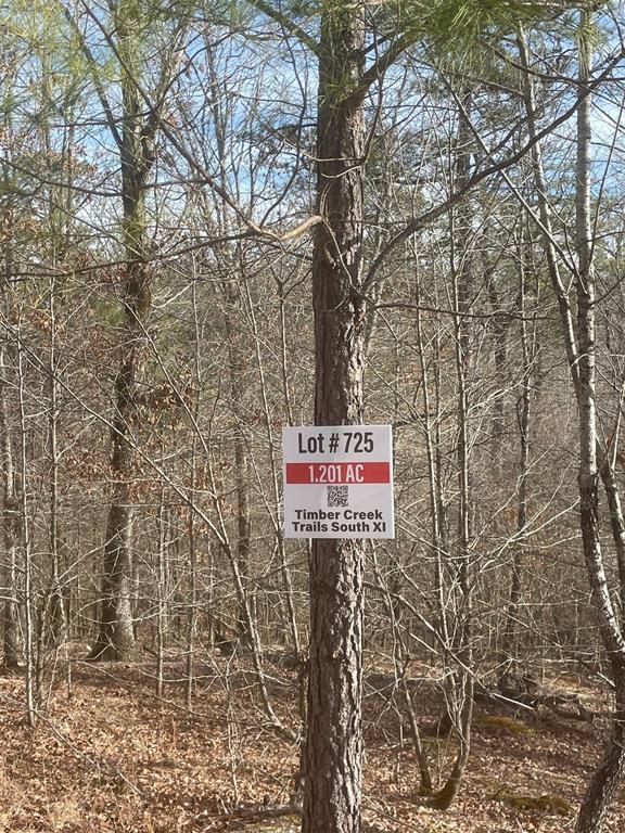 725 Timber Creek Trails South XI