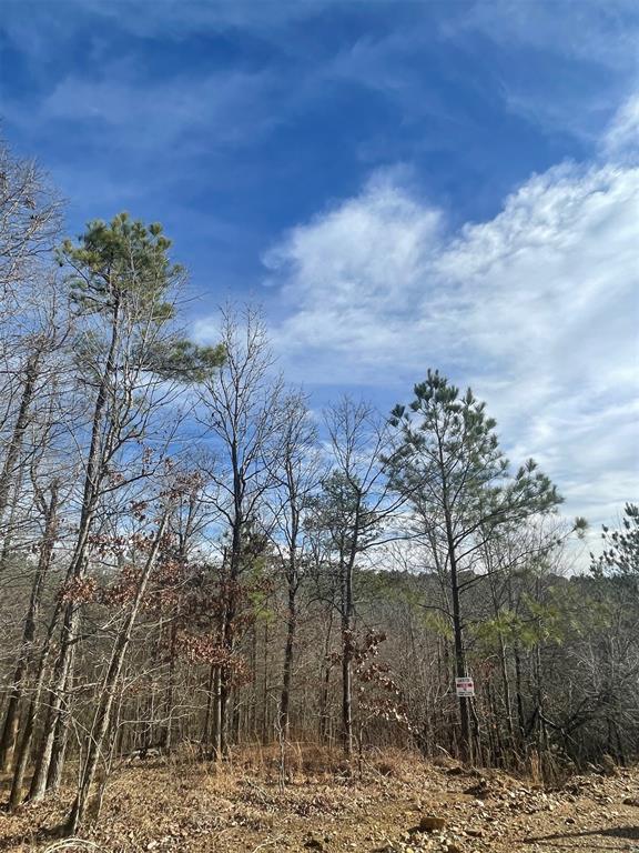 725 Timber Creek Trails South XI
