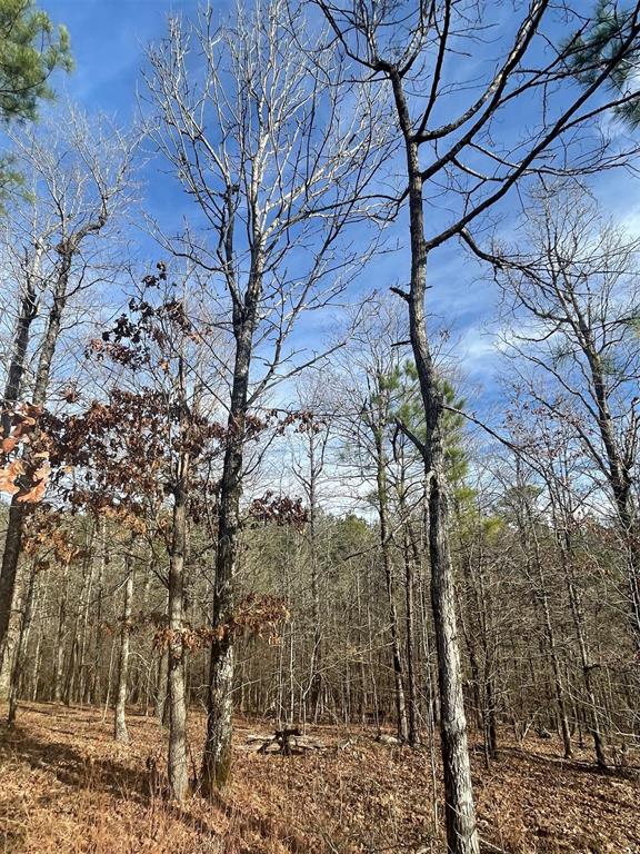 725 Timber Creek Trails South XI