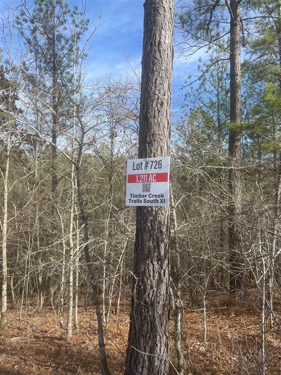 726 Timber Creek Trails South XI