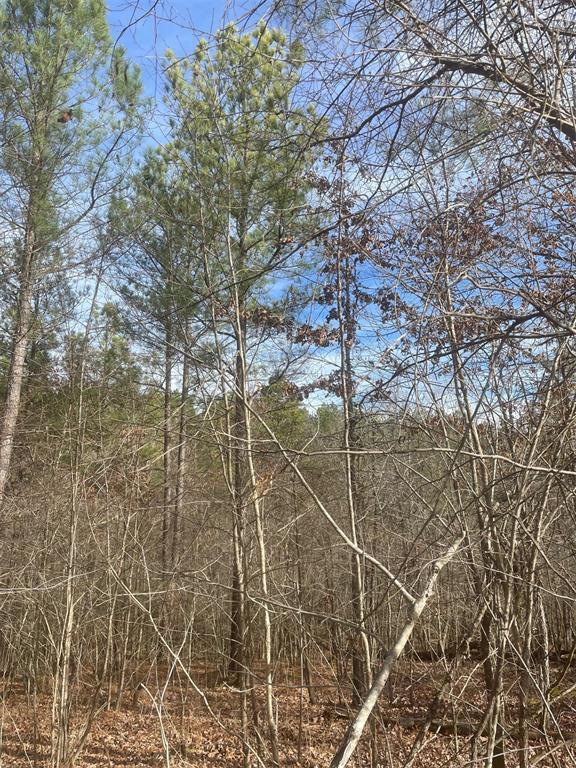 726 Timber Creek Trails South XI
