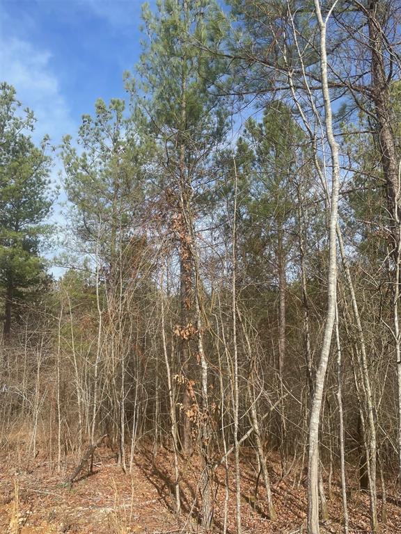 726 Timber Creek Trails South XI