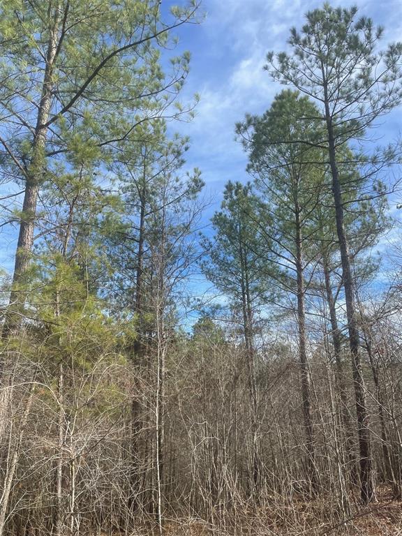 726 Timber Creek Trails South XI