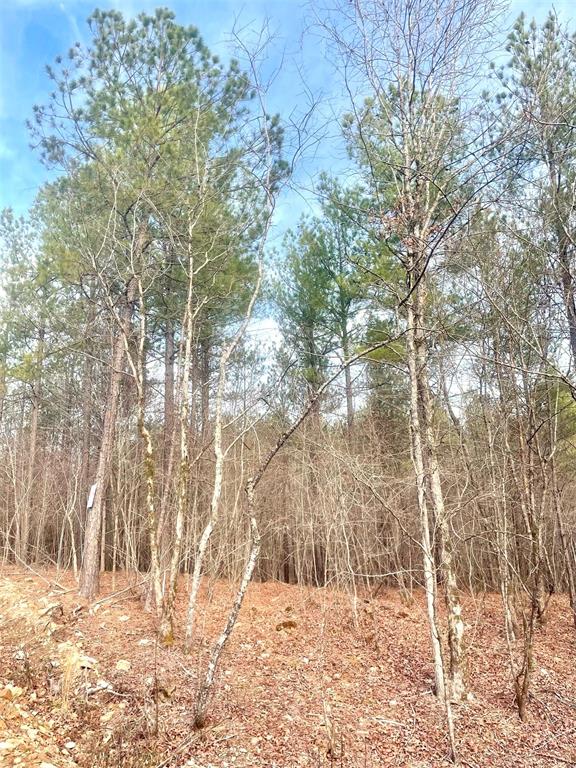 727 Timber Creek Trails South XI