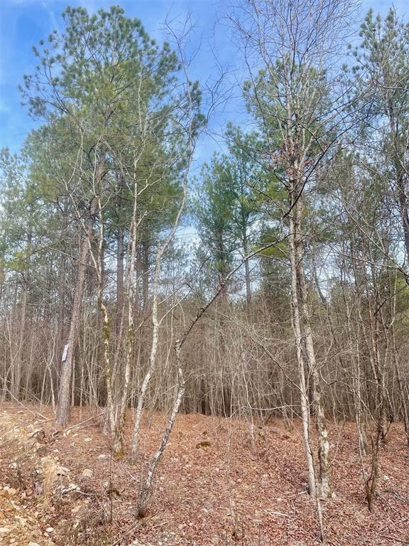 727 Timber Creek Trails South XI