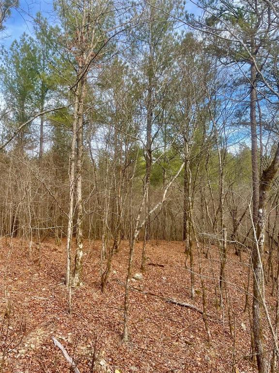 727 Timber Creek Trails South XI