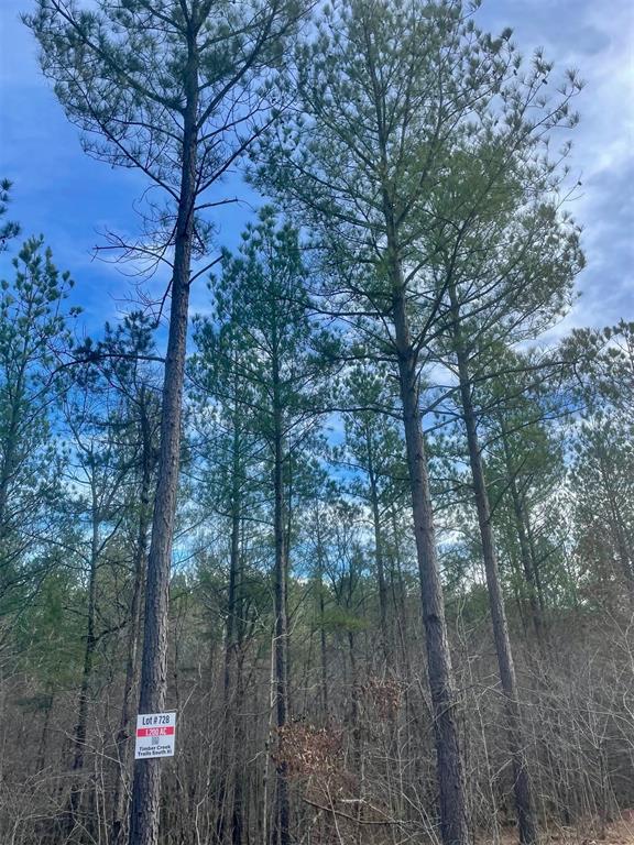 728 Timber Creek Trails South XI