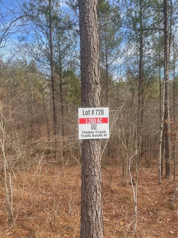 728 Timber Creek Trails South XI