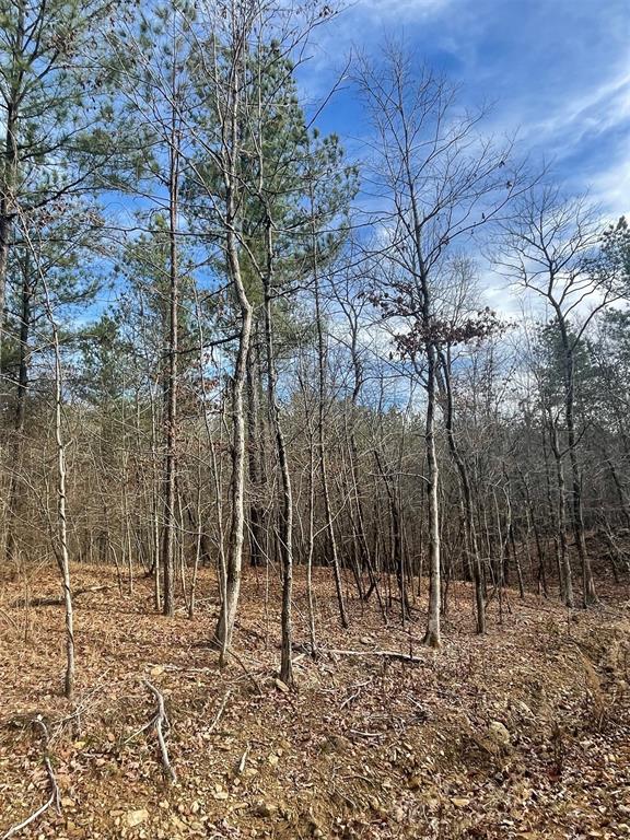 729 Timber Creek Trails South XI