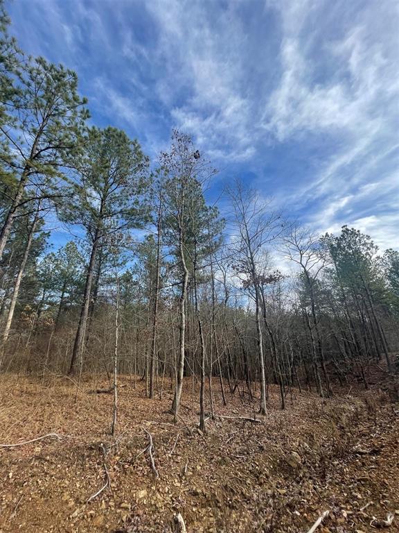 729 Timber Creek Trails South XI